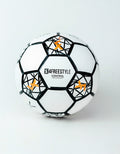 Control ball v4